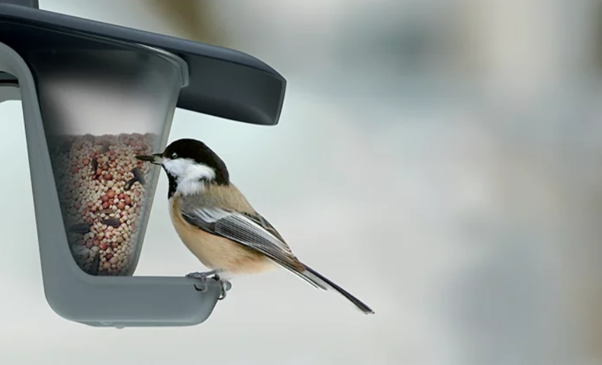 Годівниця для птахів з металевим кріпленням (902450) - фото 5 Годівниця для птахів з металевим кріпленням (902450) - фото 5