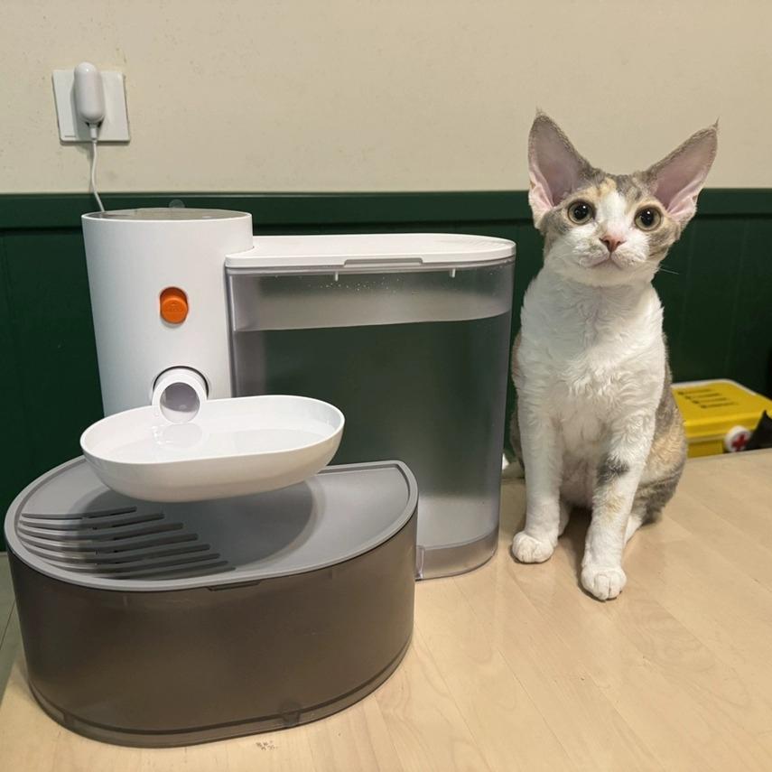 Поилка-фонтан PetGravity автоматическая для кошек и собак 3 л (1124) - фото 14 Поилка-фонтан PetGravity автоматическая для кошек и собак 3 л (1124) - фото 14