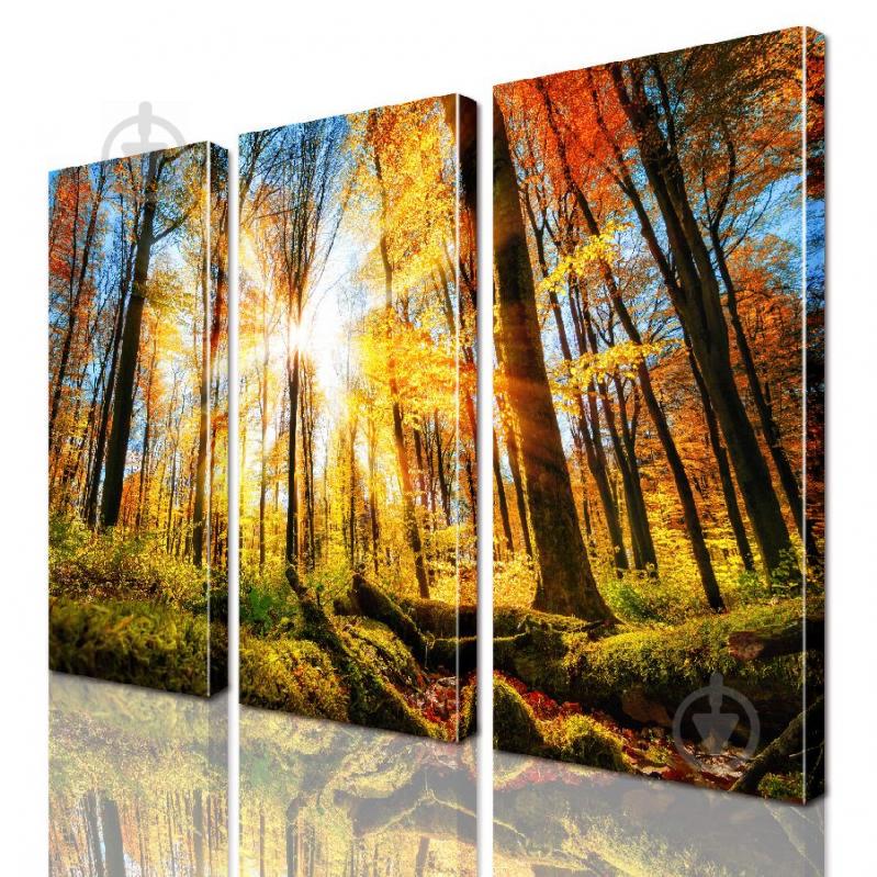 Модульная картина ArtStar ADNA0171 размер 150 х 180 см