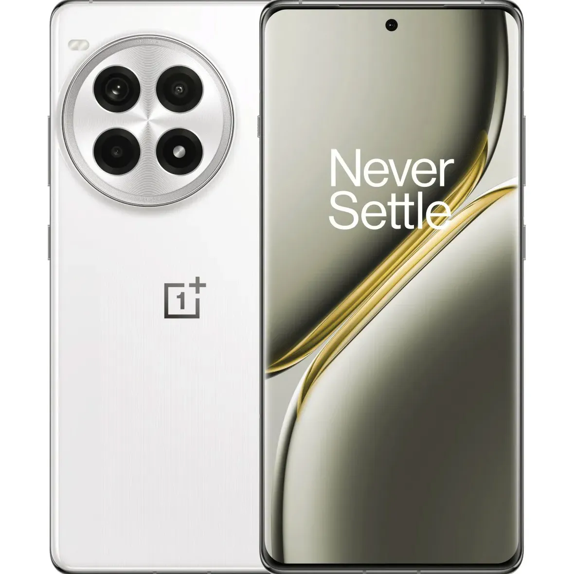 Смартфон OnePlus Ace 3 Pro 5G 12/256Gb PJX110 CN 2 sim Silver