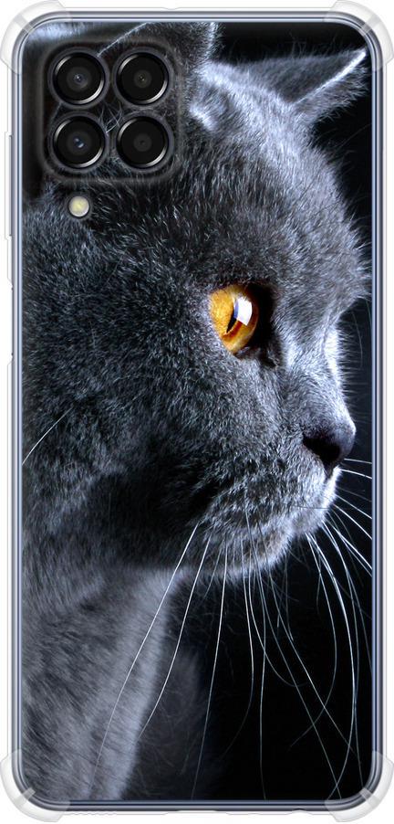 Чехол на Samsung Galaxy M33 M336B Красивый кот (3038sp-2633-42517)