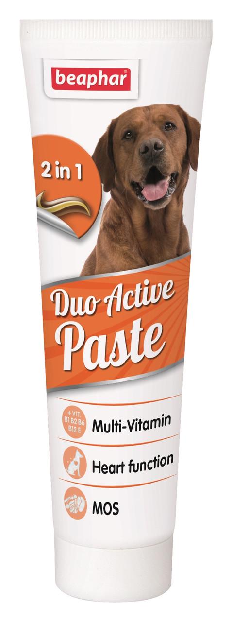 Паста для собак з L-карнитином Duo Active Paste 100 г (12960)