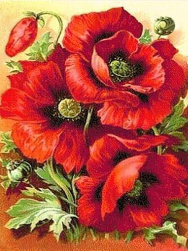 Алмазная мозаика на подрамнике Красные маки 30x40 (DM.006-pdr)