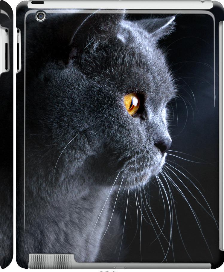 Чехол на iPad 2/3/4 Красивый кот (3038c-25-42517)