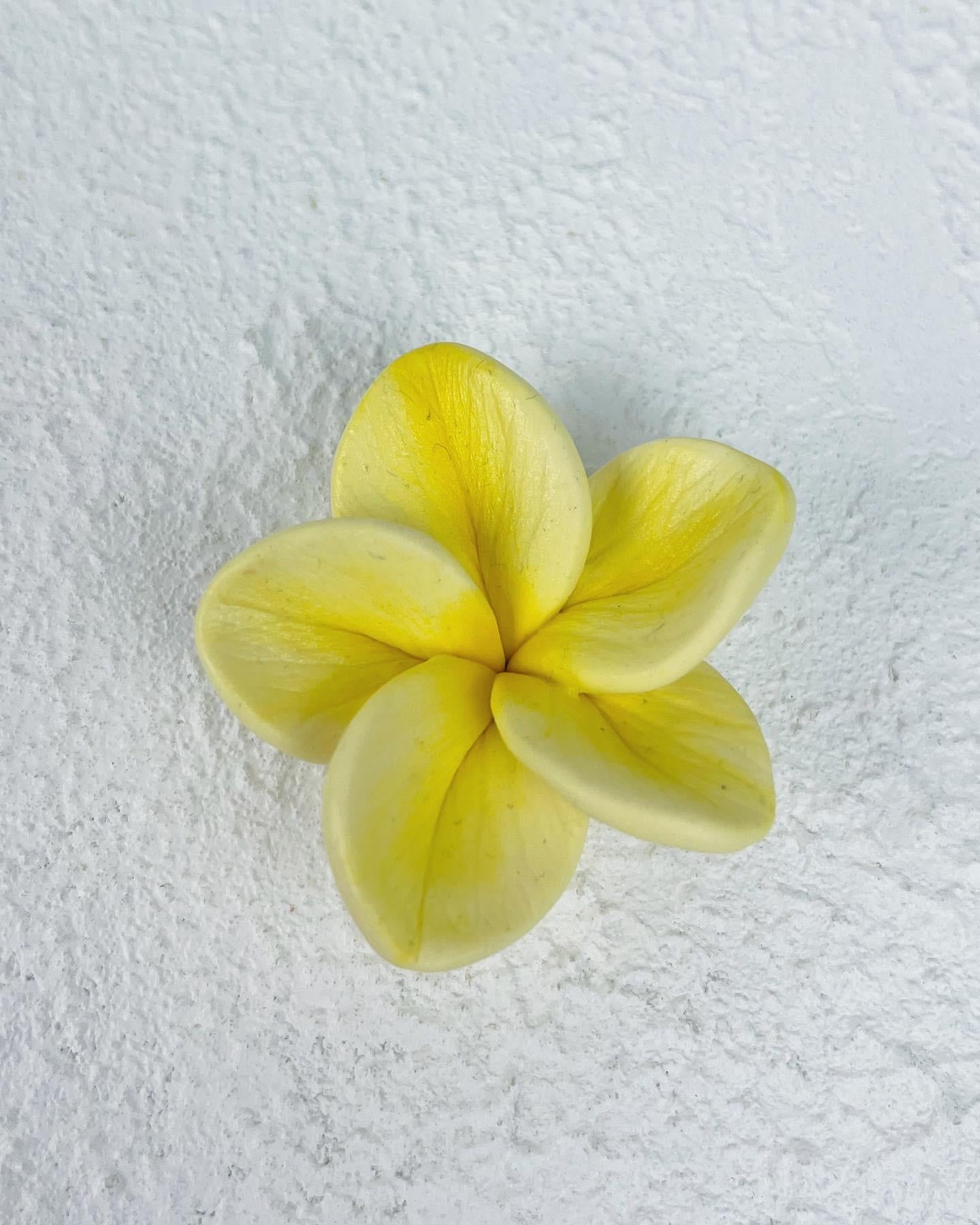 Молд силиконовый Плюмерия 2 (9058) Молд силиконовый Плюмерия 2 (9058)