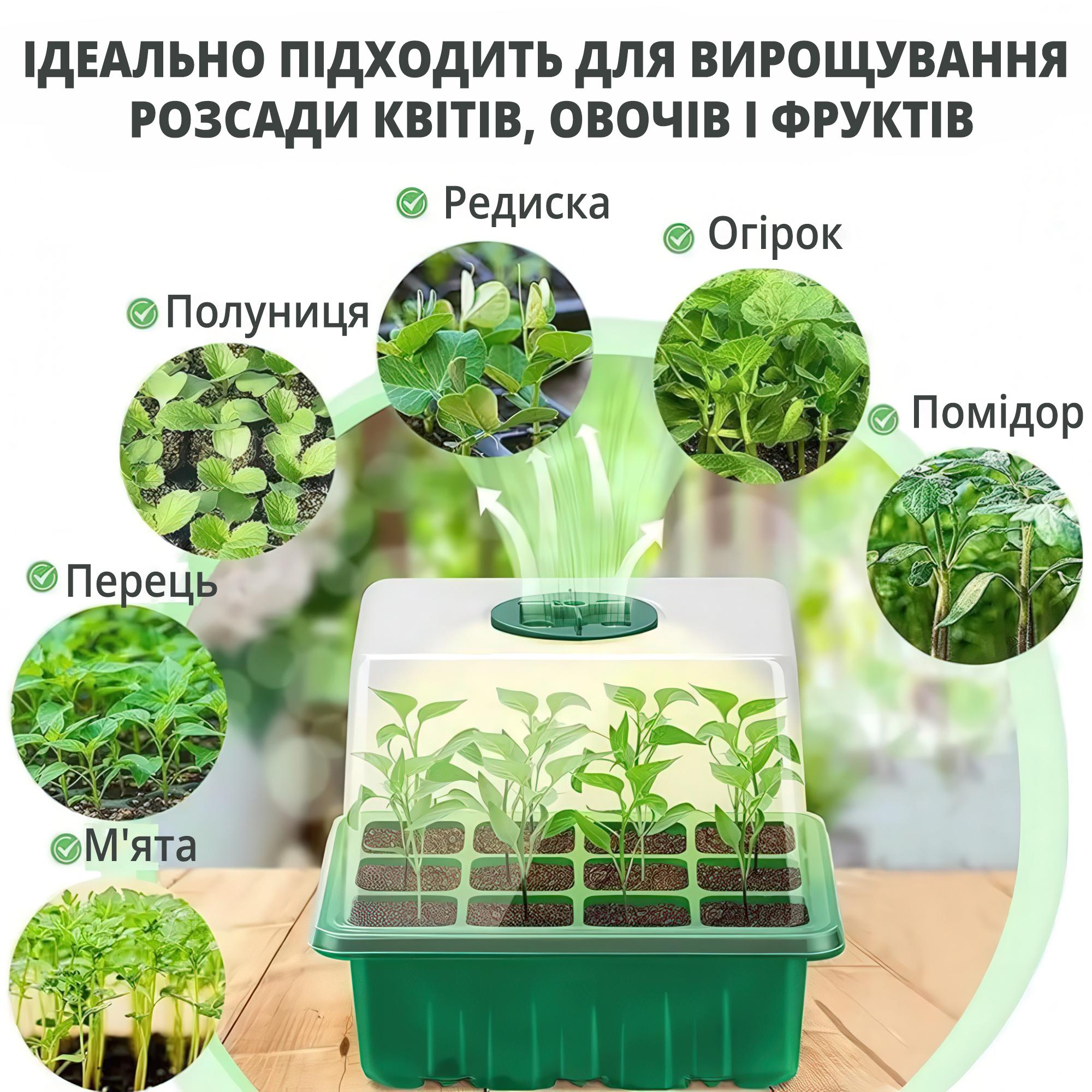 Міні-теплиця для розсади з регульованою вентиляцією і з LED фіто підсвічуванням 5 касет по 12 осередків Зелений - фото 3 Міні-теплиця для розсади з регульованою вентиляцією і з LED фіто підсвічуванням 5 касет по 12 осередків Зелений - фото 3