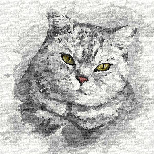 Картина по номерам Идейка Зеленоглазый взгляд 30x30 см (KHO4200)