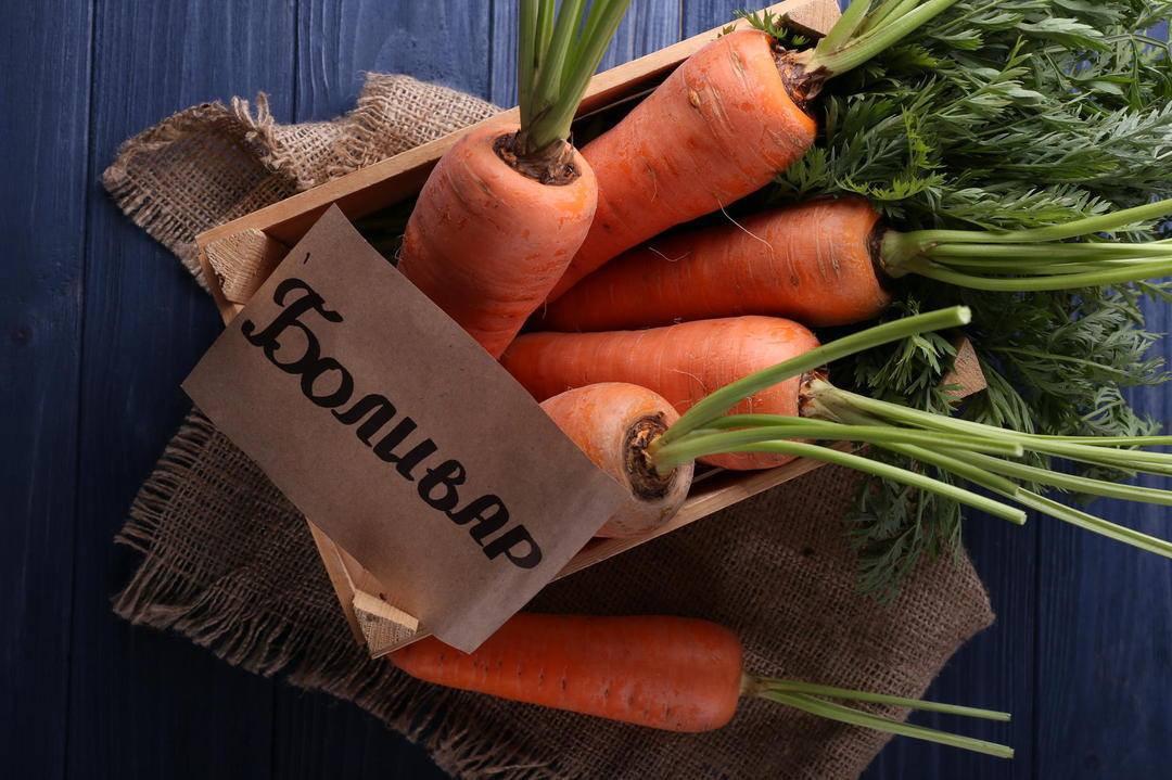 Насіння Морква Bolivar F1 ТД Гекса-Україна 700 шт. 01-17-394 (IR00974) Насіння Морква Bolivar F1 ТД Гекса-Україна 700 шт. 01-17-394 (IR00974)