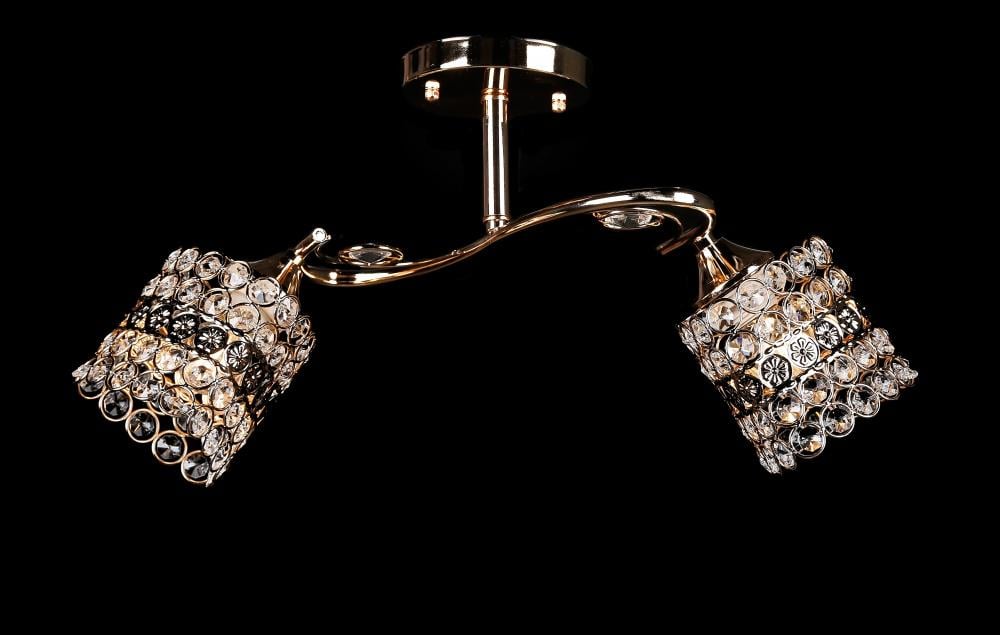 Люстра с плафонами Ray L3315/2 FGD (IR005984)