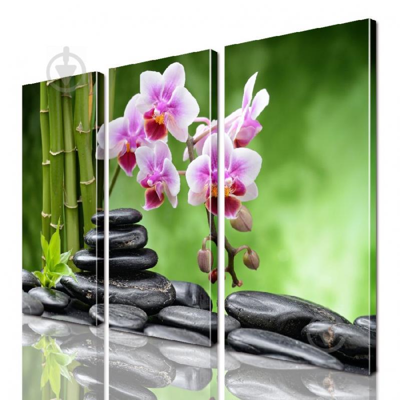 Модульная картина ArtStar цветы Орхидея ADFL0174 размер 95 х 120 см