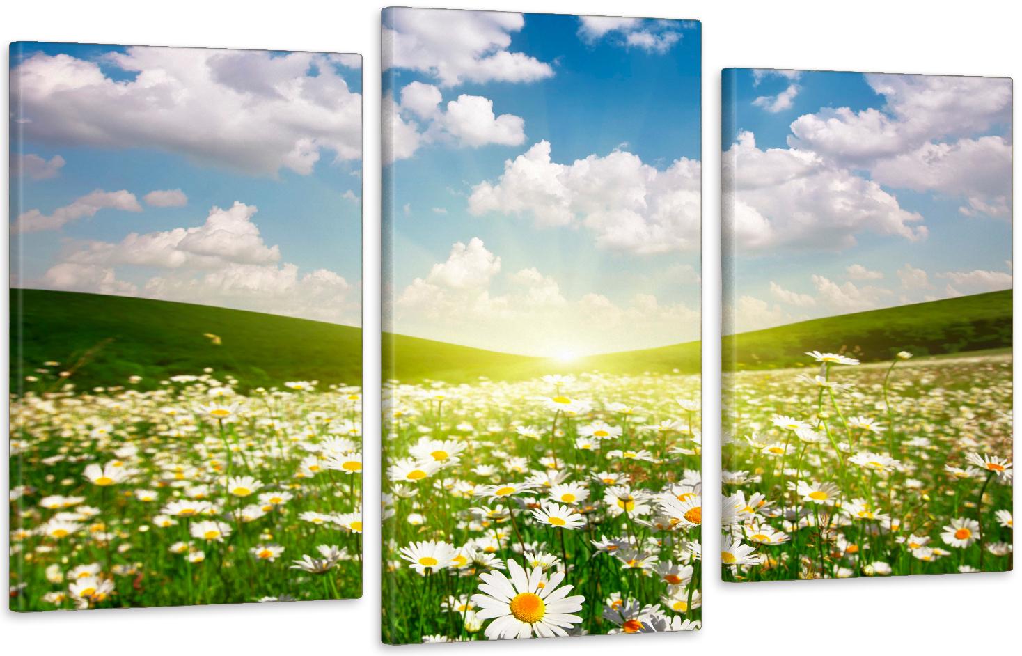 Картина модульная в гостиную/спальню Солнце в ромашках 100х150 см (Art-536_3)