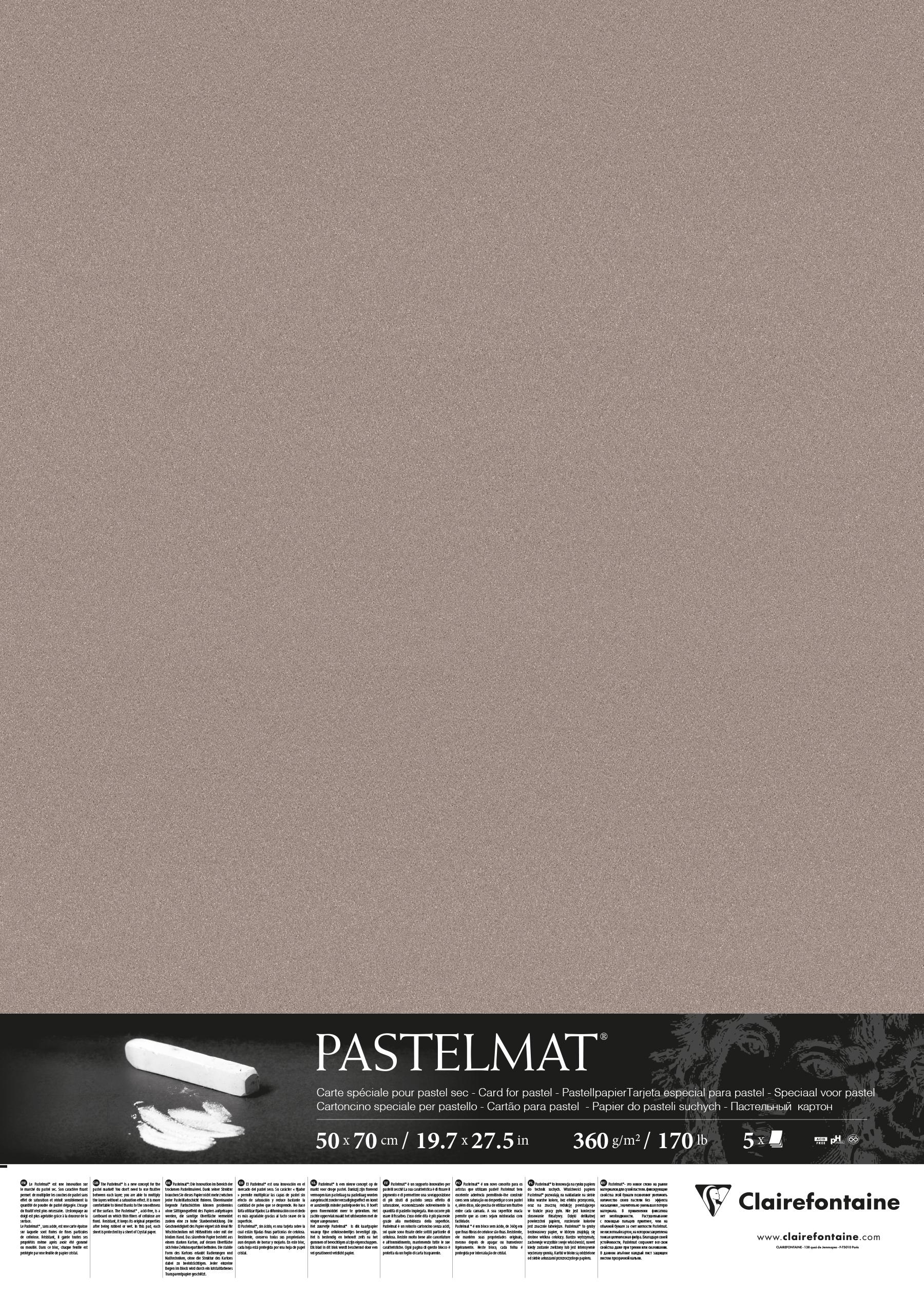 Аркуш Clairefontaine Pastelmat 5 шт. 50х70 см Dark Grey (96019C) - фото 2 Аркуш Clairefontaine Pastelmat 5 шт. 50х70 см Dark Grey (96019C) - фото 2