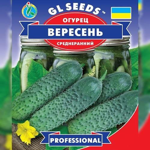 Насіння Огірок Florium Вересень (17044) - фото 2
