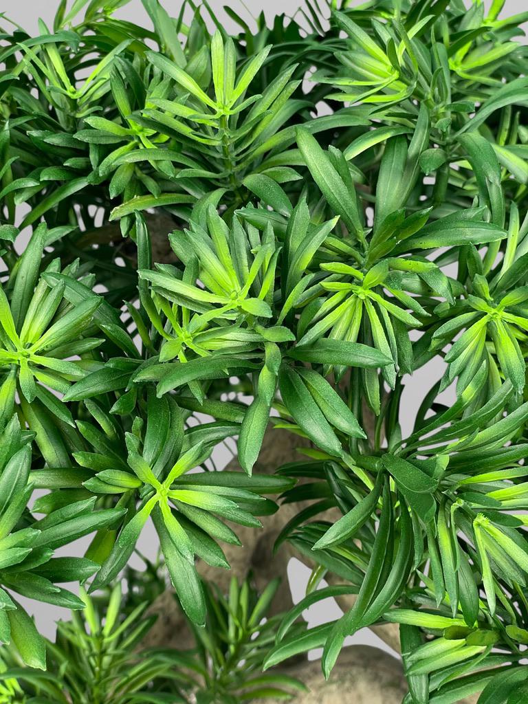 Искусственный бонсай листовой 58х55 см Зеленый (Б013) - фото 6 Искусственный бонсай листовой 58х55 см Зеленый (Б013) - фото 6