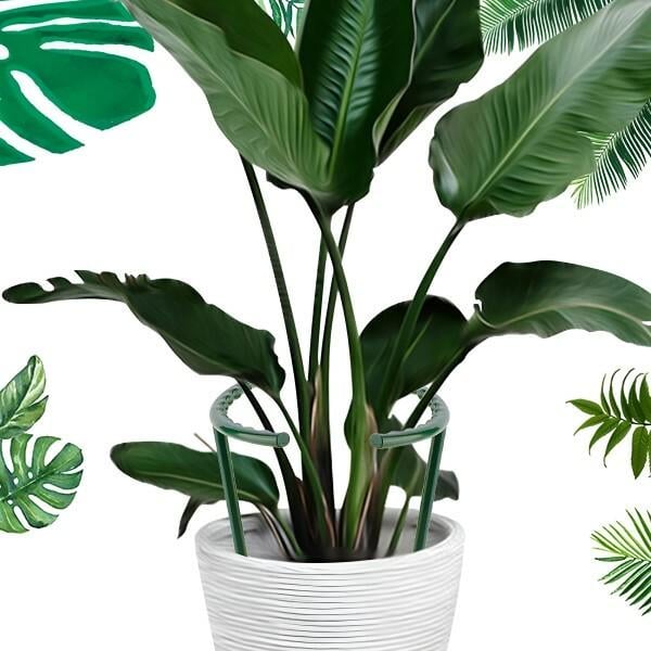 Подпорки для комнатных цветов 12 больших/12 малых Зеленый (C00082-1) - фото 7 Подпорки для комнатных цветов 12 больших/12 малых Зеленый (C00082-1) - фото 7