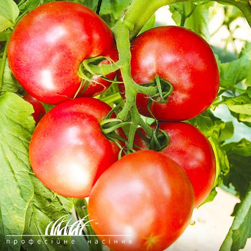 Семена Томат Florium Пінк Харт F1 (11972)