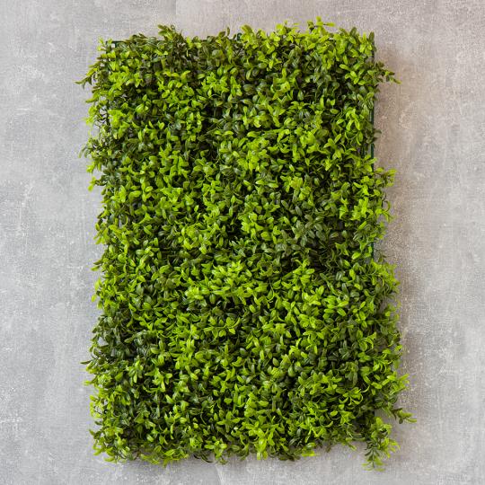 Фитомодуль искусственный Elisey Самшит 40х60 см (9089-008) Фитомодуль искусственный Elisey Самшит 40х60 см (9089-008)