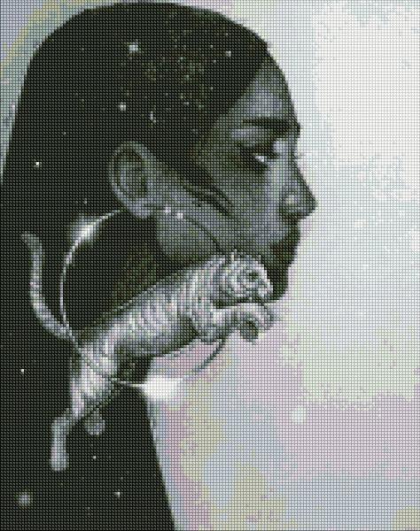 Алмазная мозаика Идейка Созвездие тигра 40х50 см (AMO7270-mt)