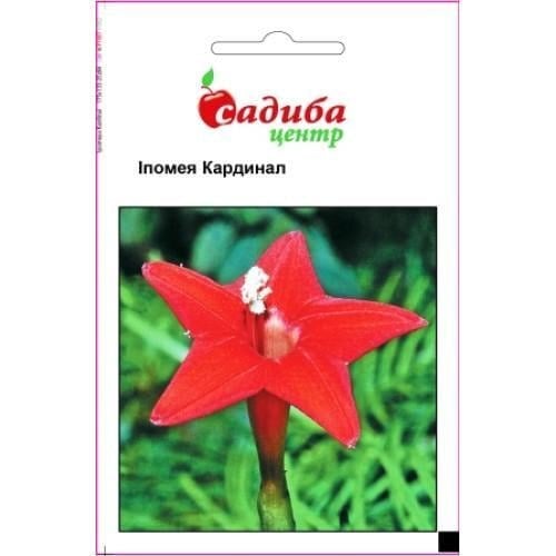 Семена цветов Ипомея Кардинал Садиба Центр 0,5 г (SZ-0783)
