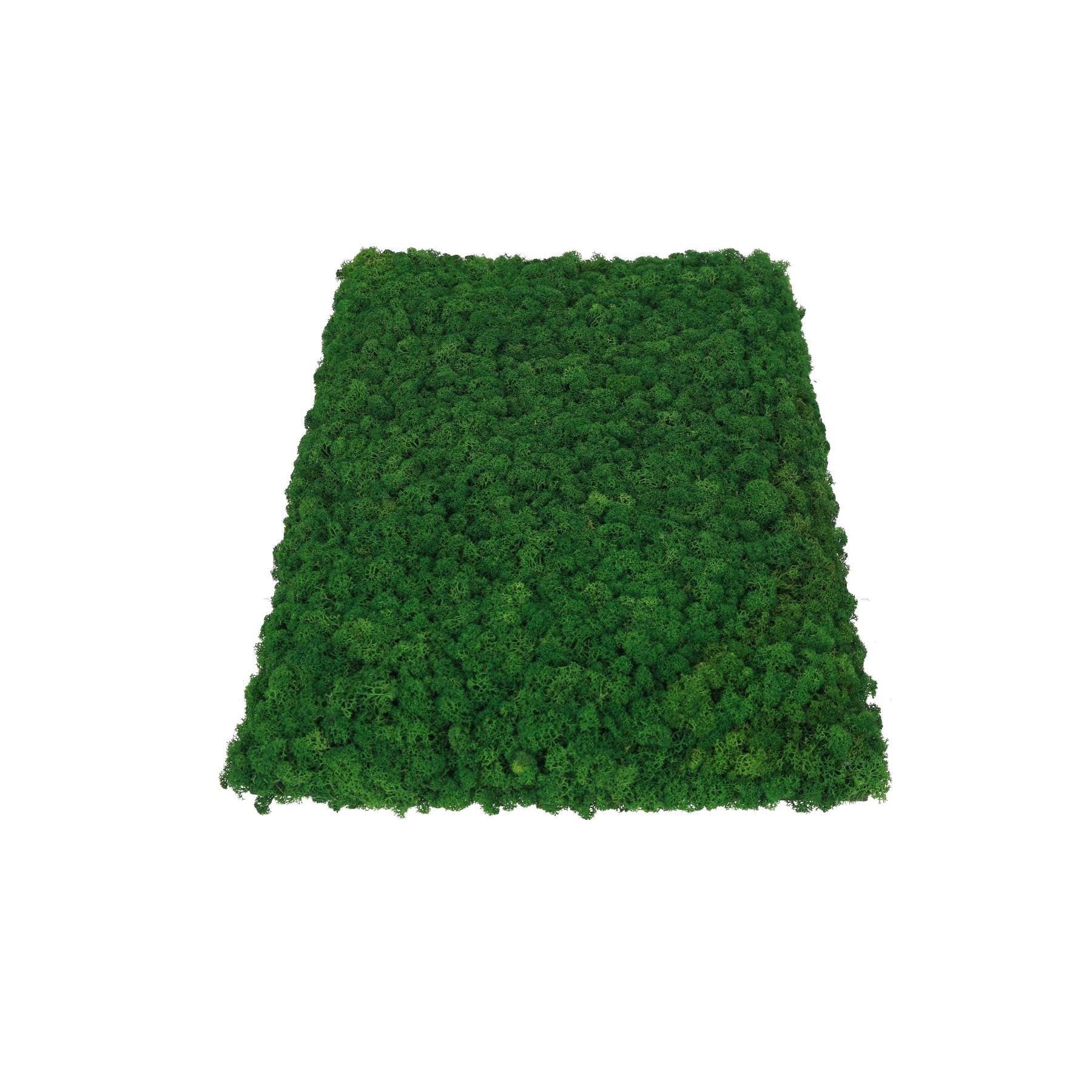 Декоративне панно з моху Organic Design Ягель 60х40 см (706-60-40)