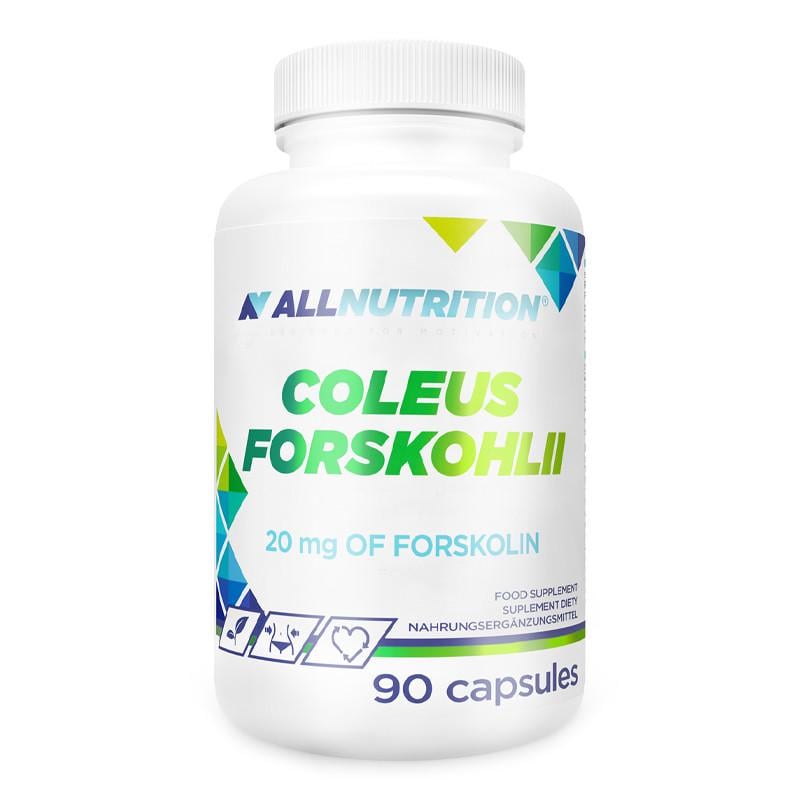 Жиросжигатель колеус форсколин AllNutrition Coleus Forskohlii 90 капс. (22916-01)