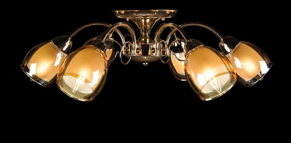 Люстра с плафонами Ray L9019D/6 FGD+BRN (IR005924)