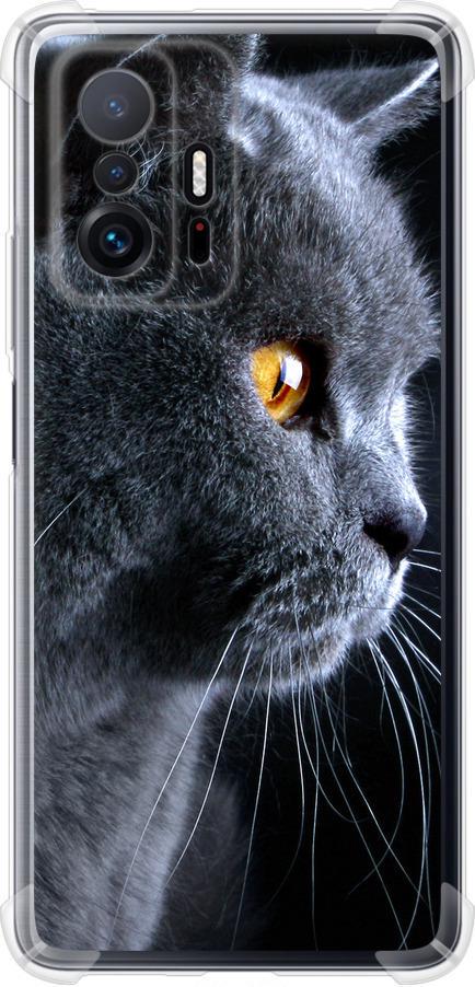 Чехол на Xiaomi 11T Красивый кот (3038sp-2487-42517)