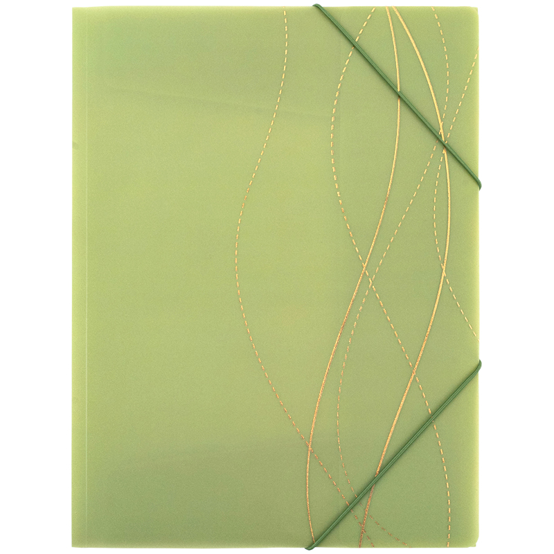 Папка на резинках А4+ Axent Waves-3 (1509-42-A)