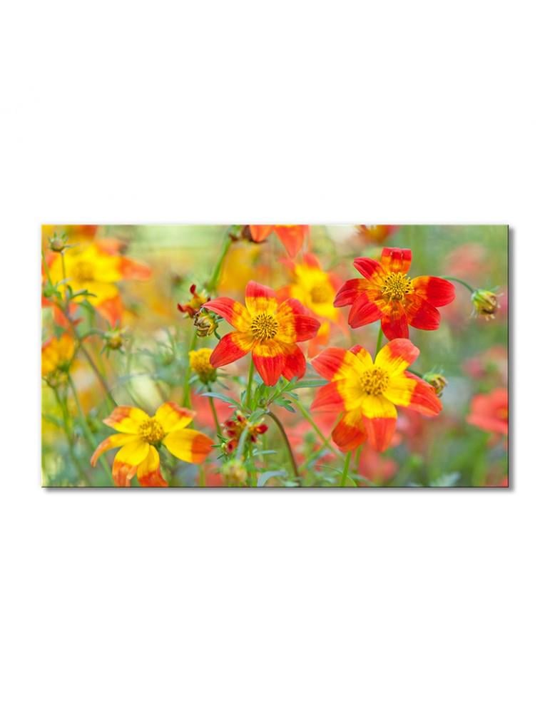 Картина модульная Полевые цветы желто-красные 1 модуль 40х60 см