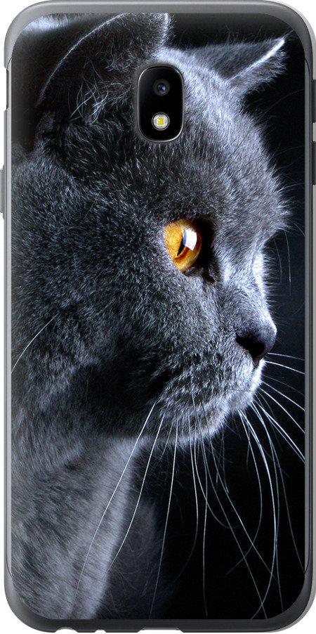 Чехол на Samsung Galaxy J3 (2017) Красивый кот (3038t-650-42517)