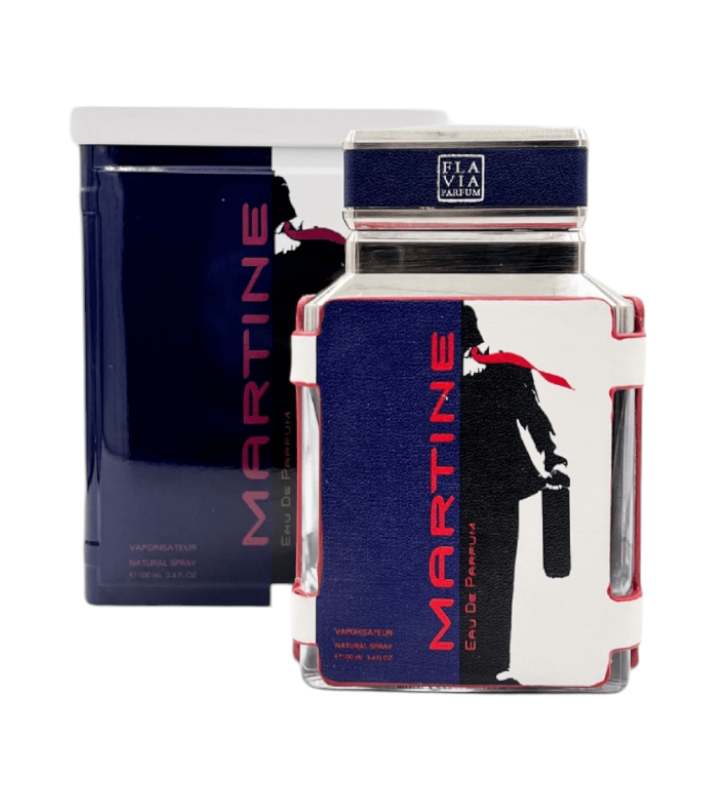 Парфюмированная вода мужская FLAVIA MARTINE man EDP 100 мл (3533)