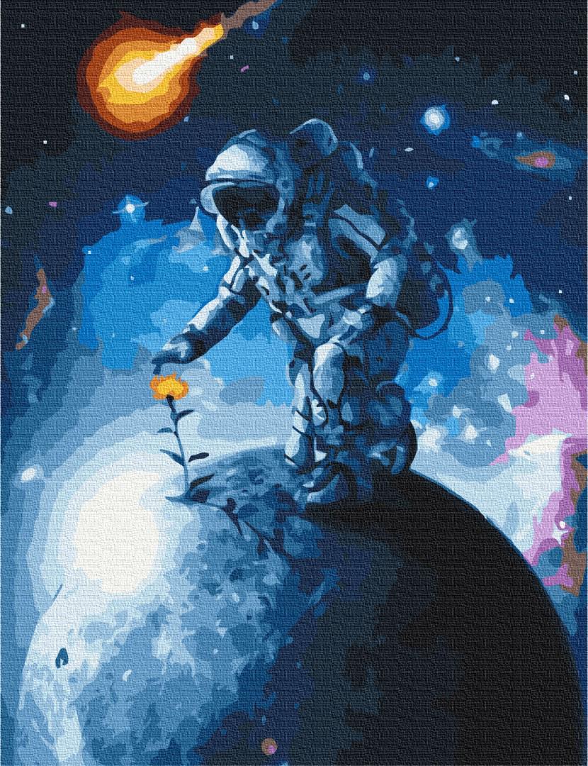 Картина по номерам Brushme Цветы Вселенной 40x50 см (BS38452)