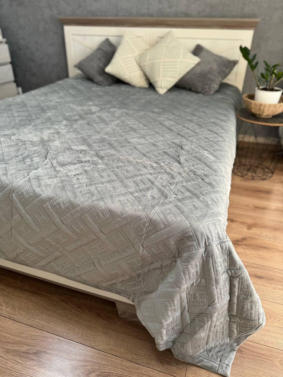 Плед велюровый Макси 230х260 см Серый (14071056) - фото 1