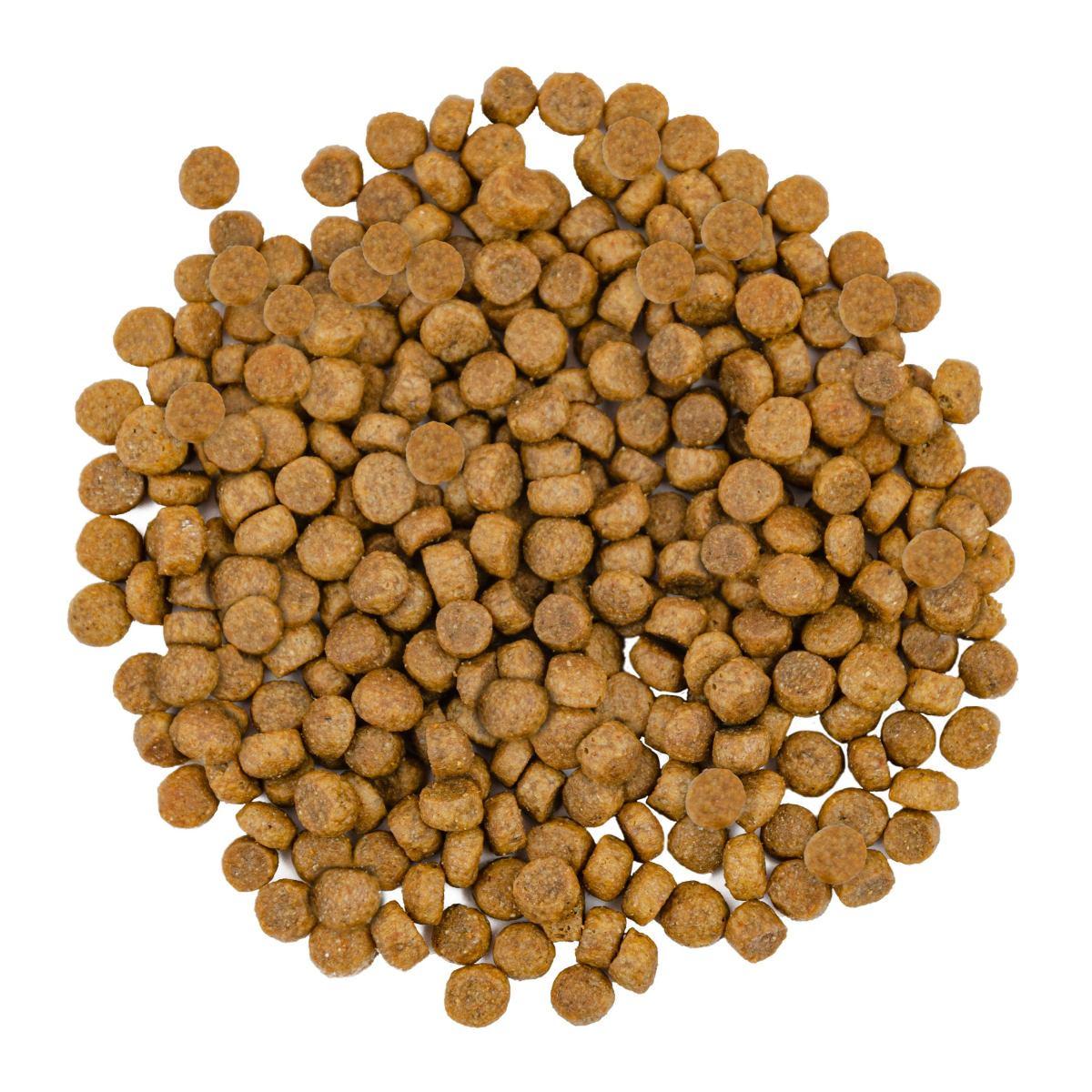 Сухий корм для довгошерстих котів Savory лосось і біла риба 8 кг (30037) - фото 3 Сухий корм для довгошерстих котів Savory лосось і біла риба 8 кг (30037) - фото 3