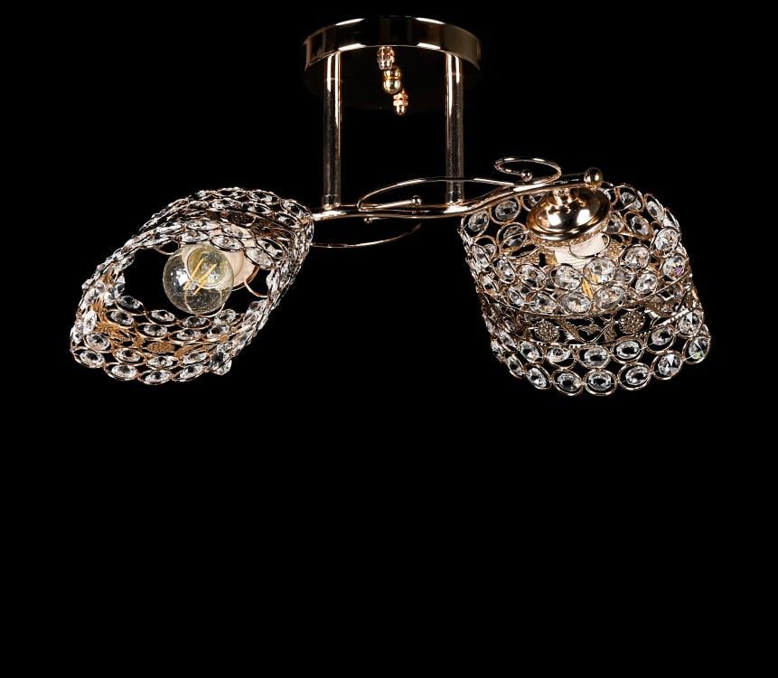 Люстра с плафонами Ray L9297A/2 FGD (IR005980)