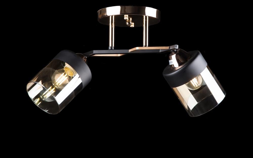 Люстра с плафонами Ray L7470/2 FG+BK (IR005999)