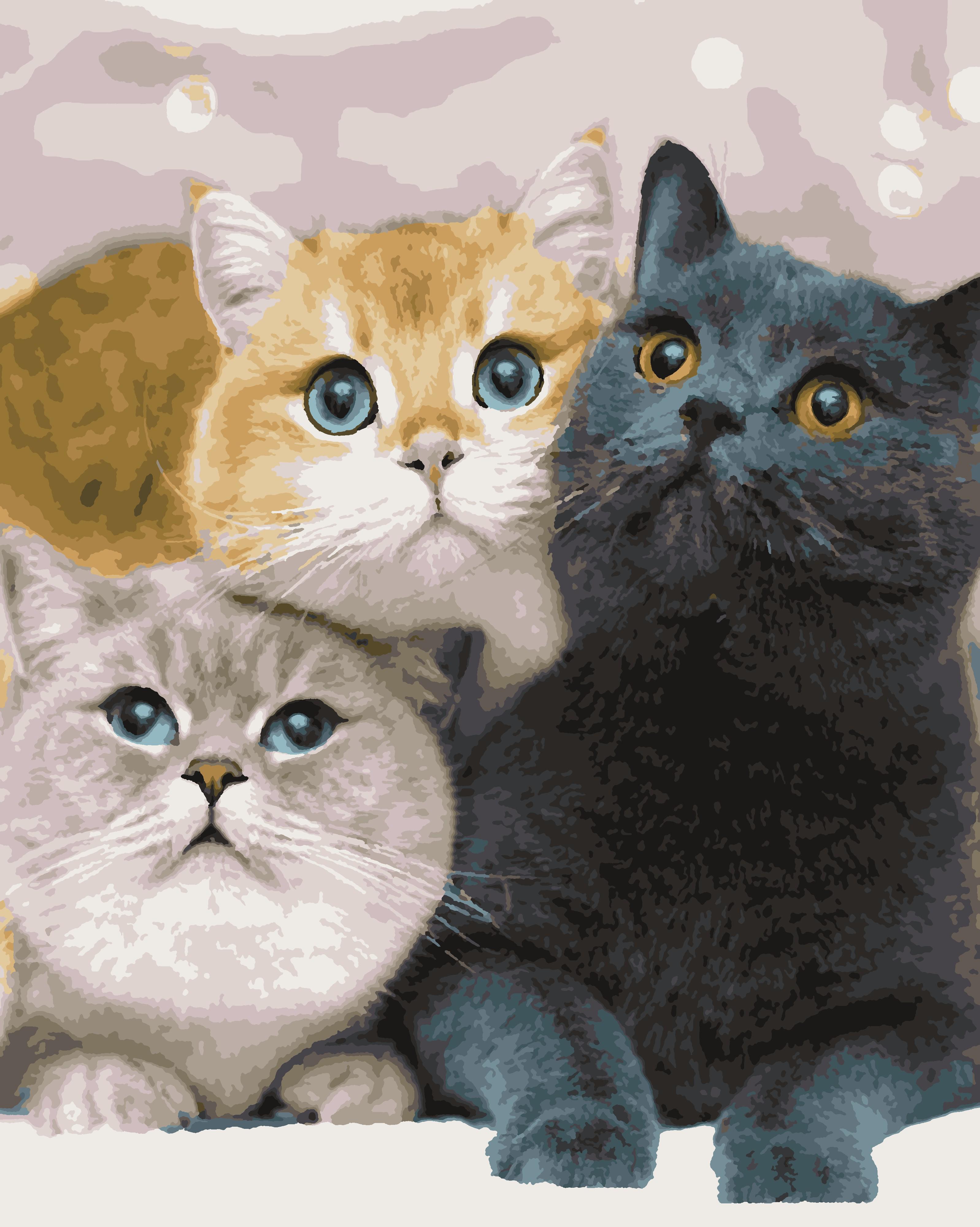 Картина по номерам Artissimo Котики 50x60 см (PNX4203-Artis)