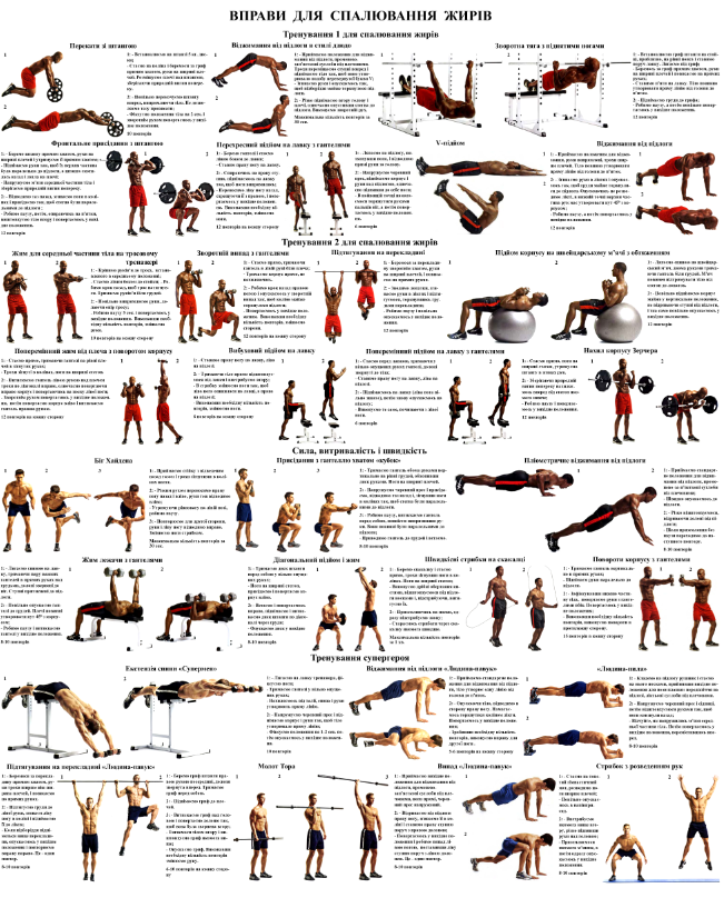 Плакат вправи для спалювання жиру 67х86 см