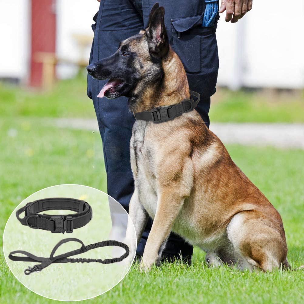 Нашийник з повідцем для собак Harness нейлоновий з металевою пряжкою-фастекс M 38-47 см Чорний (1461774648) - фото 2 Нашийник з повідцем для собак Harness нейлоновий з металевою пряжкою-фастекс M 38-47 см Чорний (1461774648) - фото 2