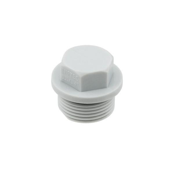Заглушка Raftec PPR 1" РЗ