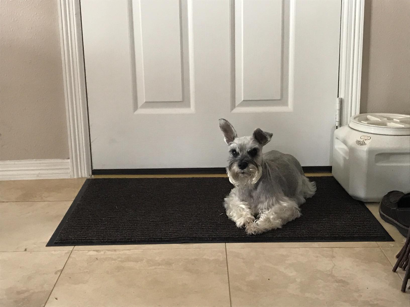 Грязезащитный коврик Пекин на ПВХ основе 600х900 мм Черный - фото 3 Грязезащитный коврик Пекин на ПВХ основе 600х900 мм Черный - фото 3