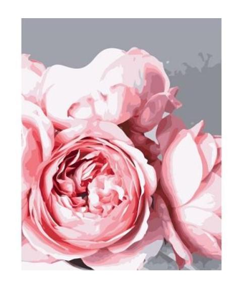 Картина по номерам Strateg Цветы Бутоны розового пиона 40х50 см в термопакете (VA-3316-mt)