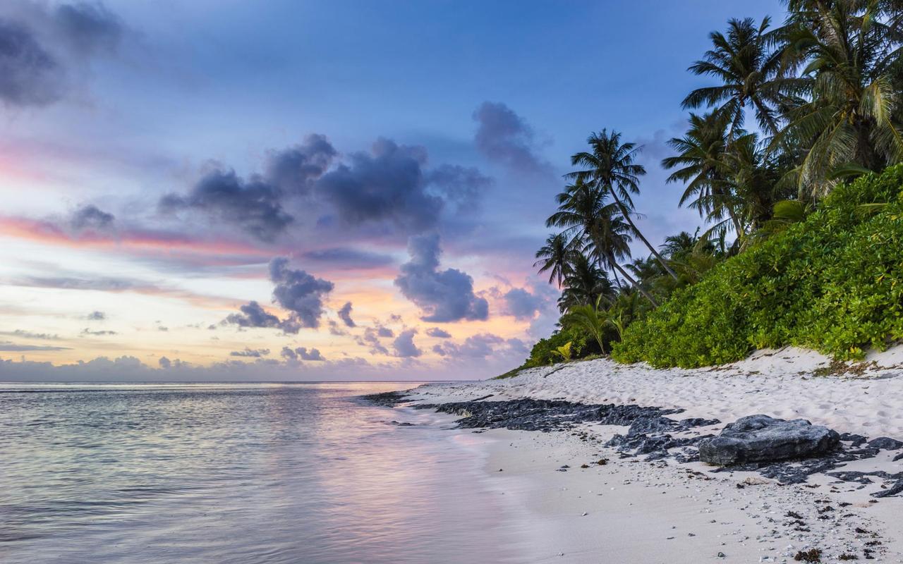 Картина на холсте Пальмы 55х85 см (PR362L)