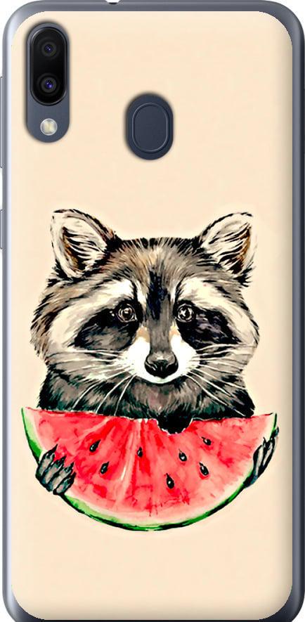 Чехол на Samsung Galaxy M20 Енотик с арбузом (4605t-1660-42517)