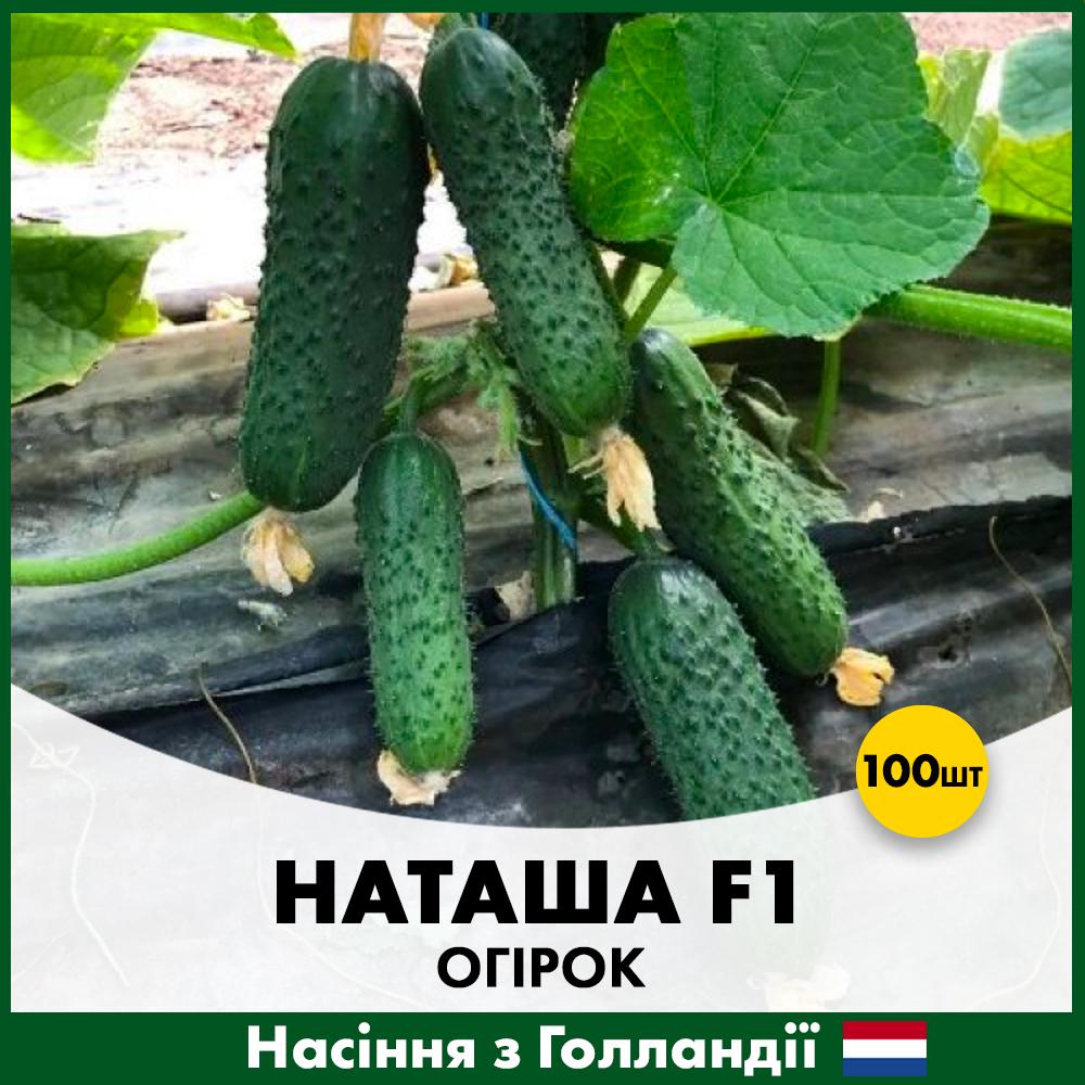 Семена огурца Seminis Наташа F1 100 шт. (00166100)