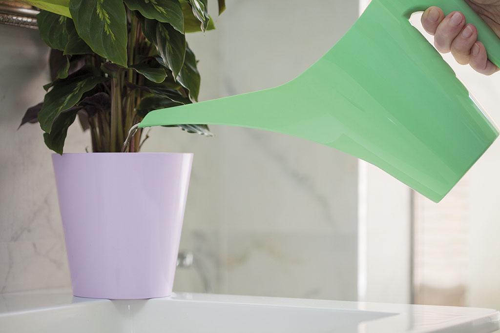 Лейка для цветов Form Plastic 1,2 л Нефрит (3200-067) - фото 2 Лейка для цветов Form Plastic 1,2 л Нефрит (3200-067) - фото 2