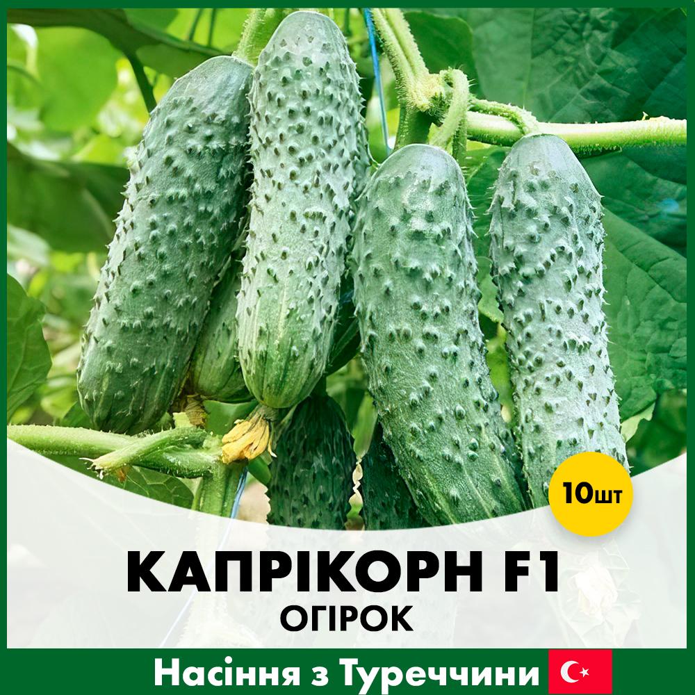 Семена огурца Yuksel Tohum Каприкорн F1 10 шт. (R30318)