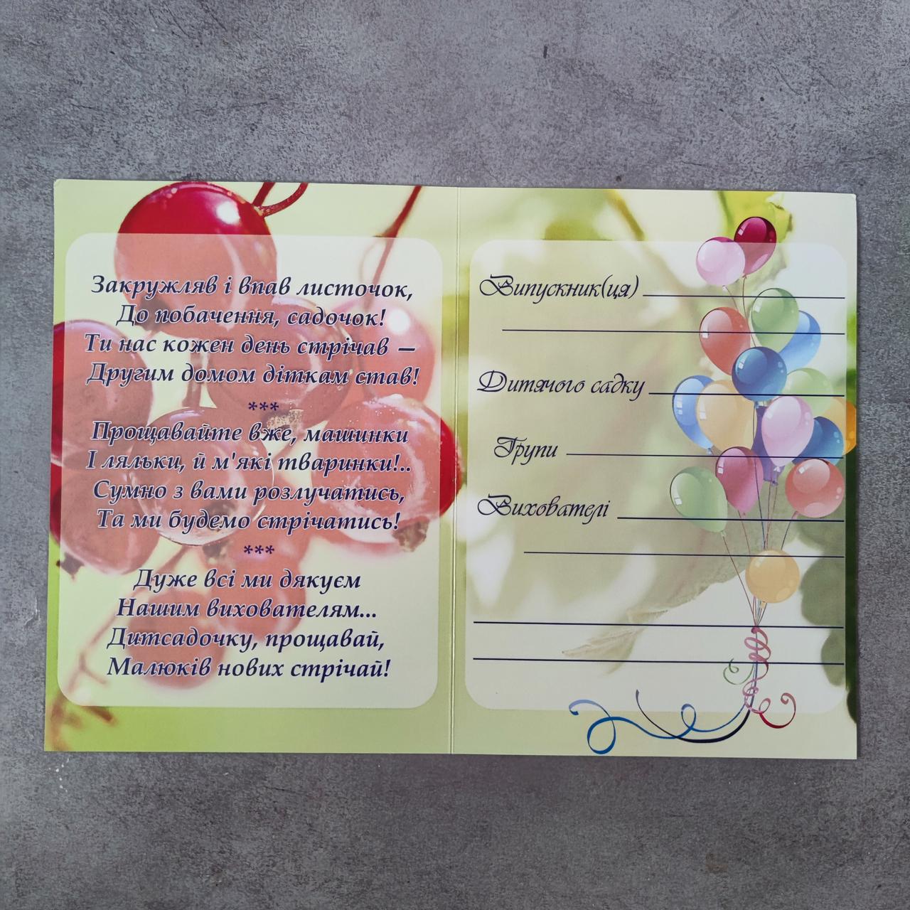 Диплом та медаль для випускника дитячого садка з фотографією (2764491869) - фото 4