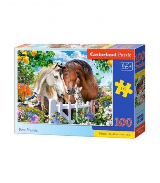 Пазл Лучшие Друзья 100 элементов (B-111121-CS)