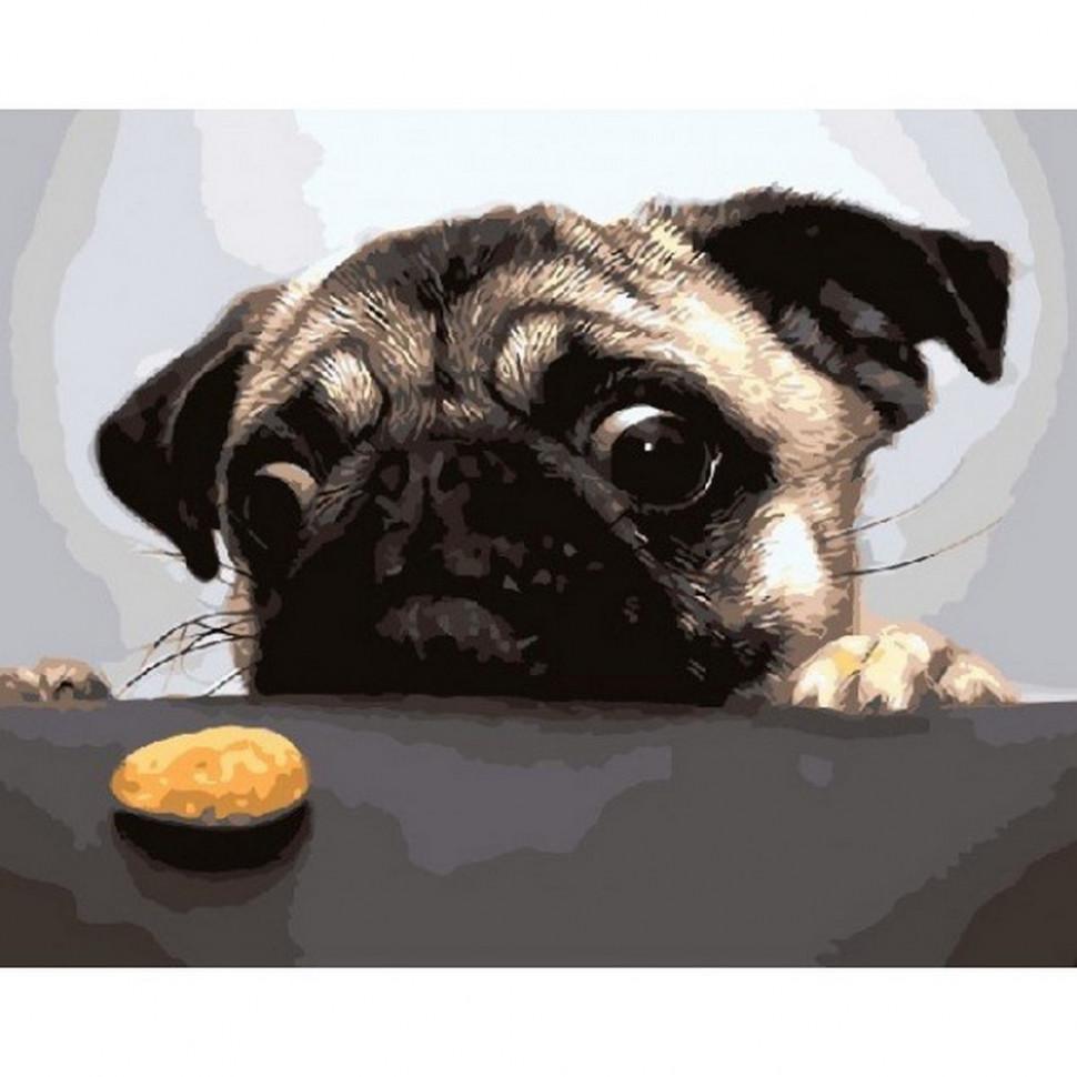 Картина по номерам Brushme Мопс и печенька 40х50 см (BRM8765)